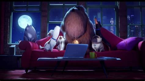 XFINITY X1 TV commercial - The Secret Life of Pets 2: Embrace the Mischief
