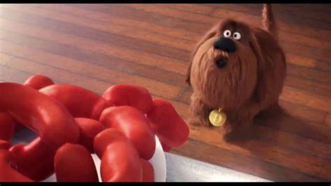 XFINITY xFi TV commercial - The Secret Life of Pets 2: Sausages
