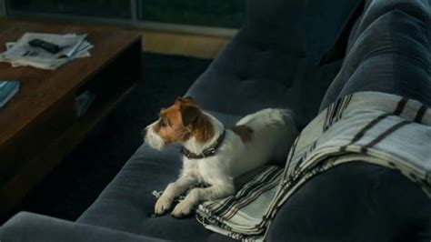 Xfinity My Account App TV commercial - Max and His Dog
