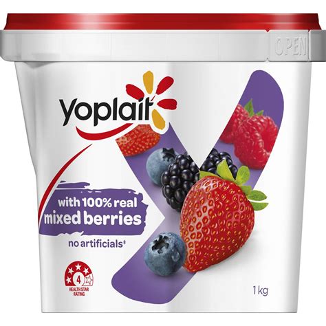 Yoplait Greek 100 Mixed Berry logo