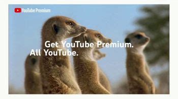 YouTube Premium TV Spot, 'Meerkats: Three Months Free' created for YouTube